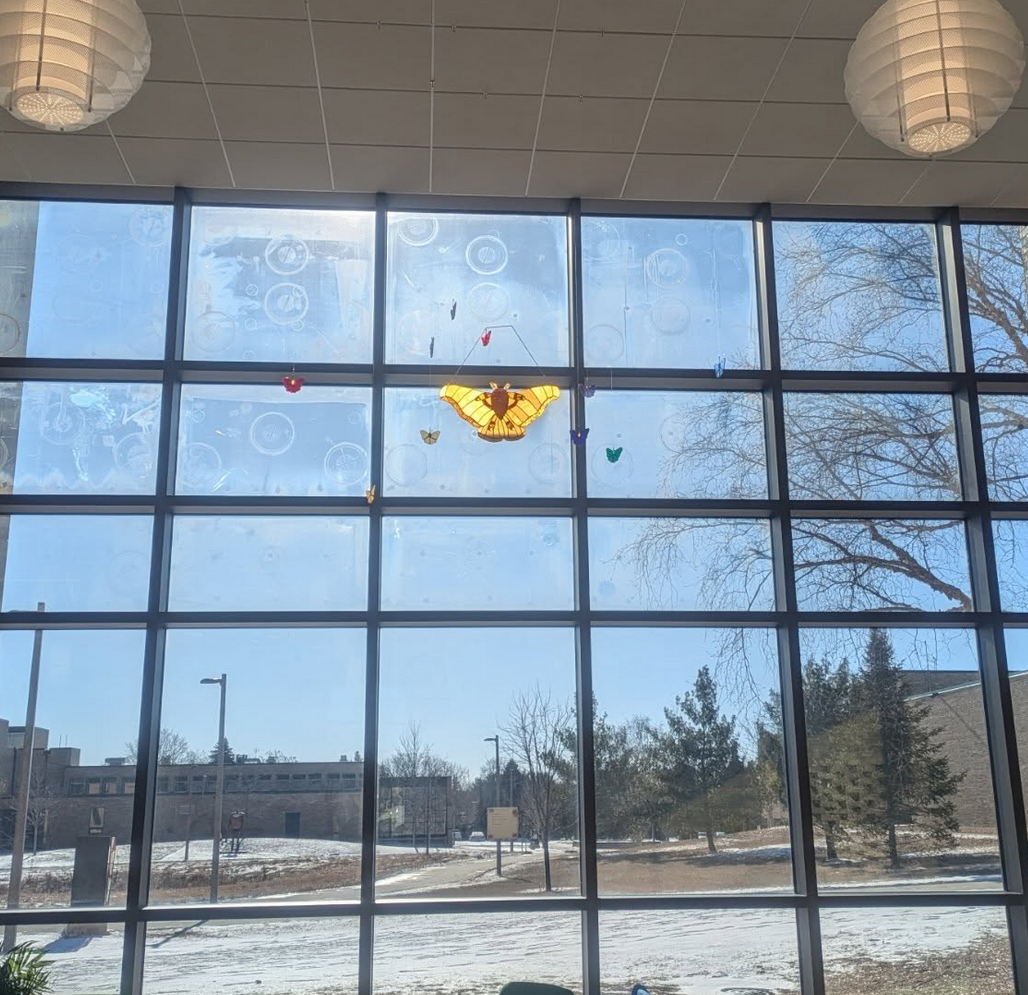 Metamorphosis — butterfly suncatcher in window