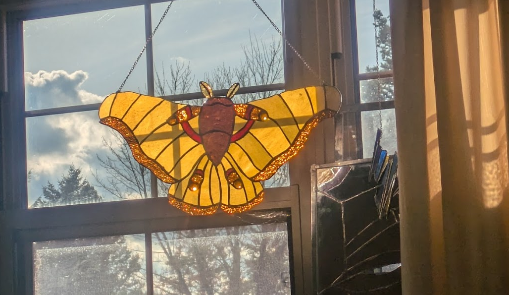 Metamorphosis — stained glass butterfly suncatcher